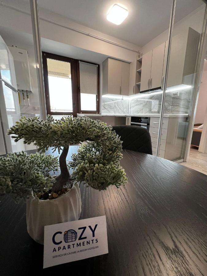 Cozy Apartments - City Center 雅西 外观 照片